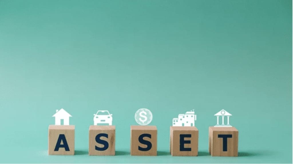 Asset search